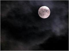 фото "black moon rising"
