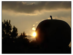 photo "Eclipse"