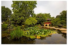 photo "Another Boring Lanscape"