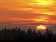 фото "Sunrise"