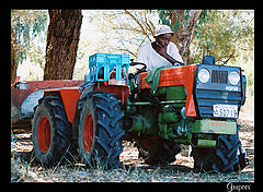 фото "Hard working"
