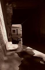 photo "***"
