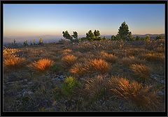 photo "Evening"