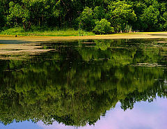 photo "The Reflections"