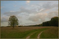 photo "***"