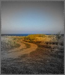 photo "***"