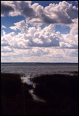 photo "***"