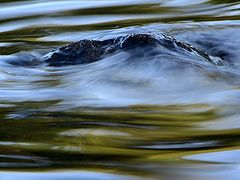фото "Stone & water"