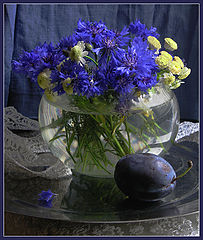 photo "Сornflowers"
