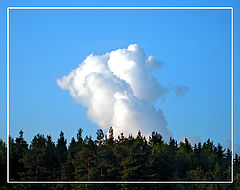 photo "Cloud-paradise"