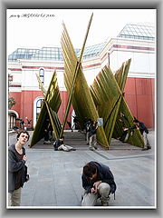 photo "множественный один"