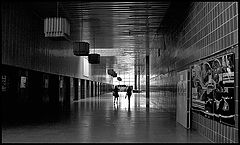 фото "среди гранитных глыб науки"