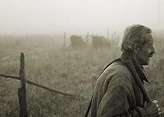 photo "***"