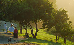 photo "Romantic morning"