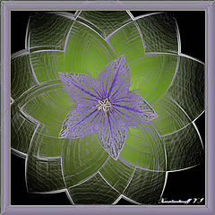 photo "***"