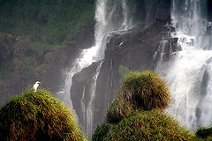 фото "Iguacu falls"