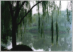 photo "Xian park (China)"