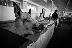 фото "Головняк..."