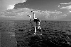 фото "Diving Boy"