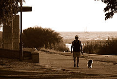photo "Evening"