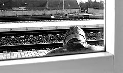 фото "go home.."