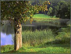 photo "Indian summer"