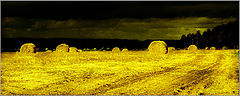 photo "***"