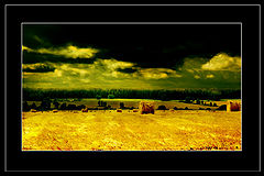 photo "***"