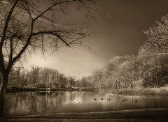 фото "The Lake"