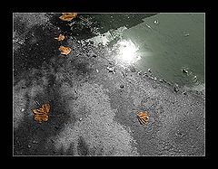 photo "***"