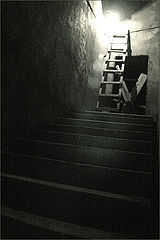 фото "STAIRS"