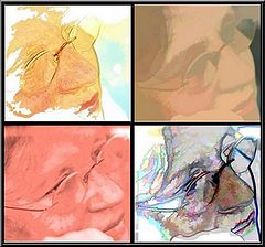photo "Maria Eduarda - To Maria Eduarda"