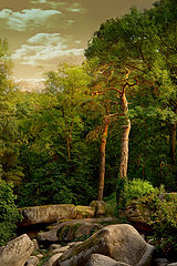 photo "***"