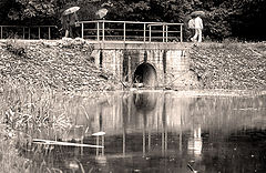 photo "In botanical to a garden"