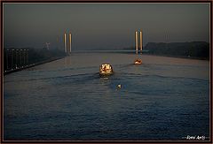 фото "in the morning sun"