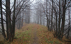 фото "Autumn"