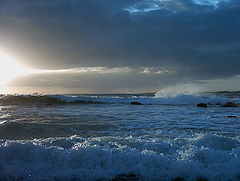 photo "Forever blue !"