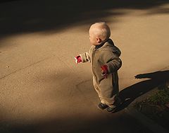 фото "Потерялся..."