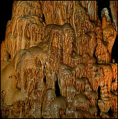 photo "The Honey Wall"