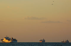 photo "BOATS&BIRDS"