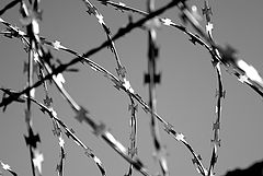 photo "***"