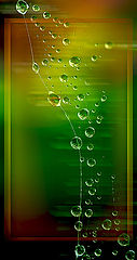 photo "***"