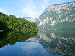 photo "Mirror"