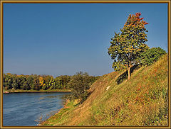 фото "ОСЕНЬ"