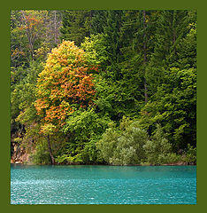 photo "***"