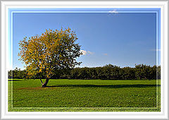 photo "***"