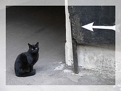 фотоальбом "сюжет"