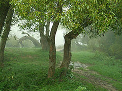 photo "Theme for painting"