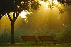 photo "A lonely Evening"