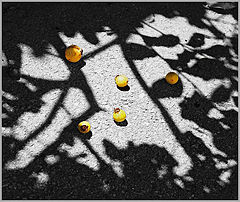 фото "In the garden"